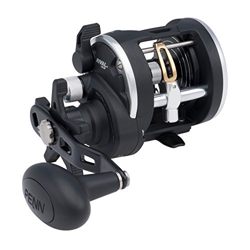 PENN Rival Level Wind Inshore Fishing Reel, Aluminum Spool