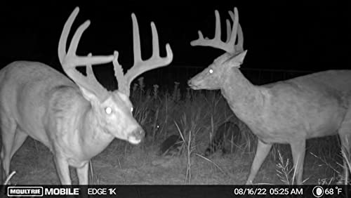 Moultrie Mobile Edge Cellular Trail Camera 2 Pack