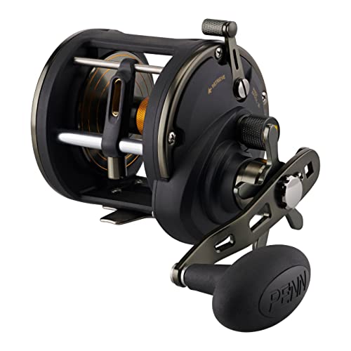 PENN Squall II Level Wind Fishing Reel Black Gold