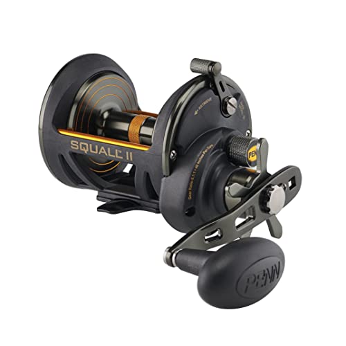 PENN Squall II Star Drag Fishing Reel, Black Gold