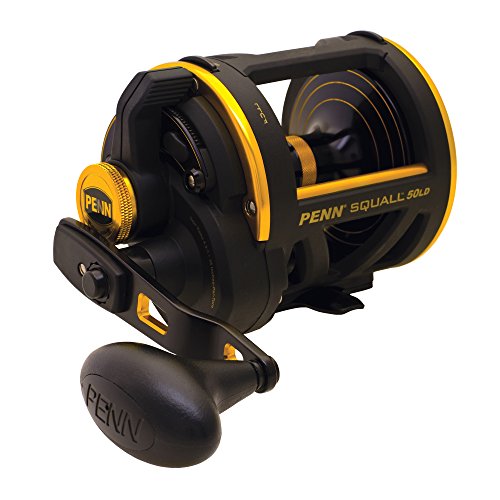 PENN Squall Lever Drag Fishing Reel, 13lb Max