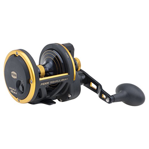 PENN Squall Lever Drag Fishing Reel, 13lb Max