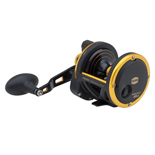 PENN Squall Lever Drag Fishing Reel, 13lb Max