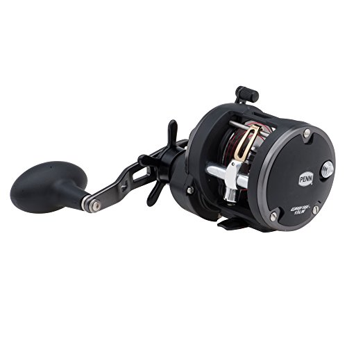 Penn Warfare Inshore/Nearshore Fishing Reel, HT-100 Star Drag