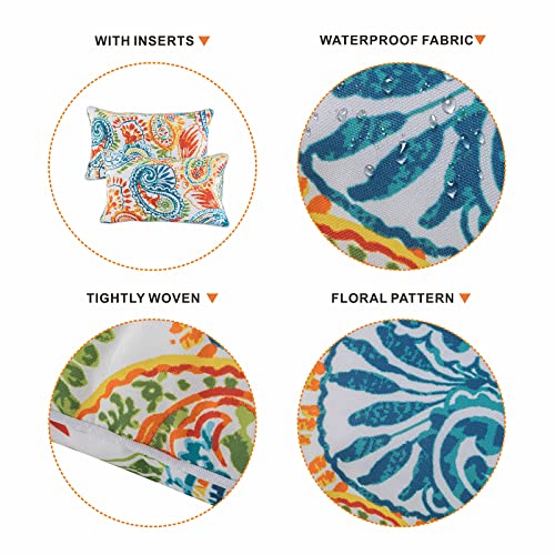 Paisley Print Outdoor Lumbar Pillows Set of 2