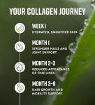 Grass Fed Bovine Collagen Powder for Hair and Skin