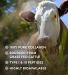 Grass Fed Bovine Collagen Powder for Hair and Skin