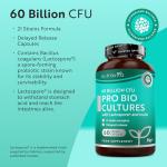Nutravita 60 Billion CFU Probiotic Complex 60 Caps