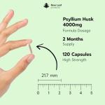 High Strength Psyllium Husk Fiber Capsules 4000mg