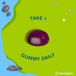 Black Elderberry Gummies for Kids - 2500mg Vegan