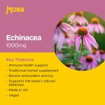 Echinacea 1000mg Tablets for Immune Support