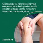 Glucosamine Gold 1400mg | Plant-Based Joint Support