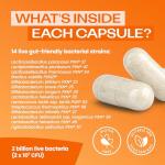 Bio-Kult Advanced Probiotic Capsules - 120 Count