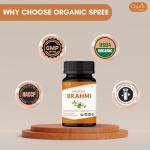 Organic Brahmi Tablets - 120 Count