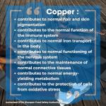 Copper 1000 mcg Vegan Tablets - 240 Count