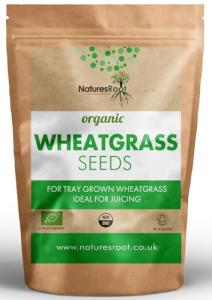 Organic Wheatgrass Sprouting Seeds 1kg - Superfood