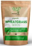 Organic Wheatgrass Sprouting Seeds 1kg - Superfood