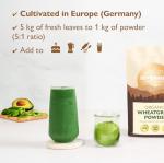 Organic Wheatgrass Powder - High in Vitamin C
