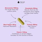 High Strength Glucosamine and Chondroitin with MSM