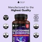 High Strength Glucosamine and Chondroitin with MSM