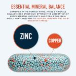 Zinc 30mg & Copper Supplement for Immune Support
