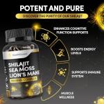 Shilajit Seamoss Lions Mane Brain Focus Capsules