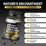 Shilajit Seamoss Lions Mane Brain Focus Capsules