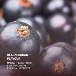 Black Elderberry Gummies with Vitamin C & Zinc