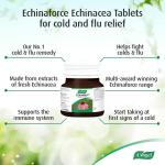 Echinaforce Forte 40 - Immune Support Supplement