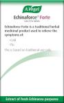 Echinaforce Forte 40: Immune Support Supplement