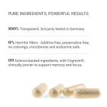 Natural Nootropic for Focus and Energy - 60 Capsules