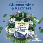Glucosamine, MSM & Chondroitin - 180 Tablets