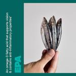 Swisse Wild Fish Oil Omega 3 Softgels 1500 mg