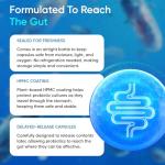 77 Billion CFU Probiotic Prebiotic Complex Capsules