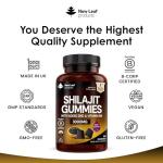 Shilajit Gummies with Zinc & Vitamin B6 3000mg