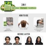 BSY Noni Hair Magic Shampoo - Ammonia-Free Color