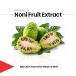 BSY Noni Hair Magic Shampoo - Ammonia-Free Color