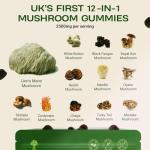 UMMI 12-in-1 Mushroom Gummies for Immunity & Focus