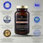 Nootropic Brain Boost Supplement for Focus & Memory