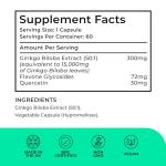 High Strength Ginkgo Biloba Capsules - 60 Servings