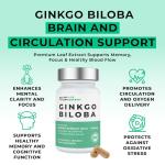 High Strength Ginkgo Biloba Capsules - 60 Servings