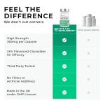 High Strength Ginkgo Biloba Capsules - 60 Servings