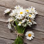 IDDA Premium Herbal Chamomile Tea 100g