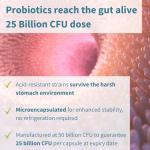 Igennus Probiotics & Prebiotics for Gut Health