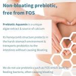 Igennus Probiotics & Prebiotics for Gut Health