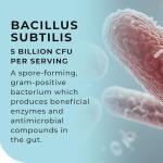 MultiSpore® Plus Probiotics for Gut Health