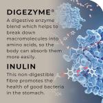 MultiSpore® Plus Probiotics for Gut Health