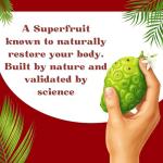 Basic Ayurveda Noni Virgin Juice - Herbal Drink