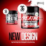 Warrior Micronised Creatine Powder - Savage Strawberry