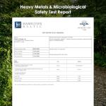 Organic Gurmar 500mg - 90 Vegan Capsules